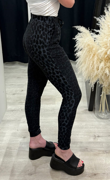 Alma pants - dark grey leo