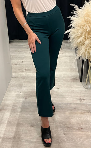 Blazer pants 1 - ponderosa pine